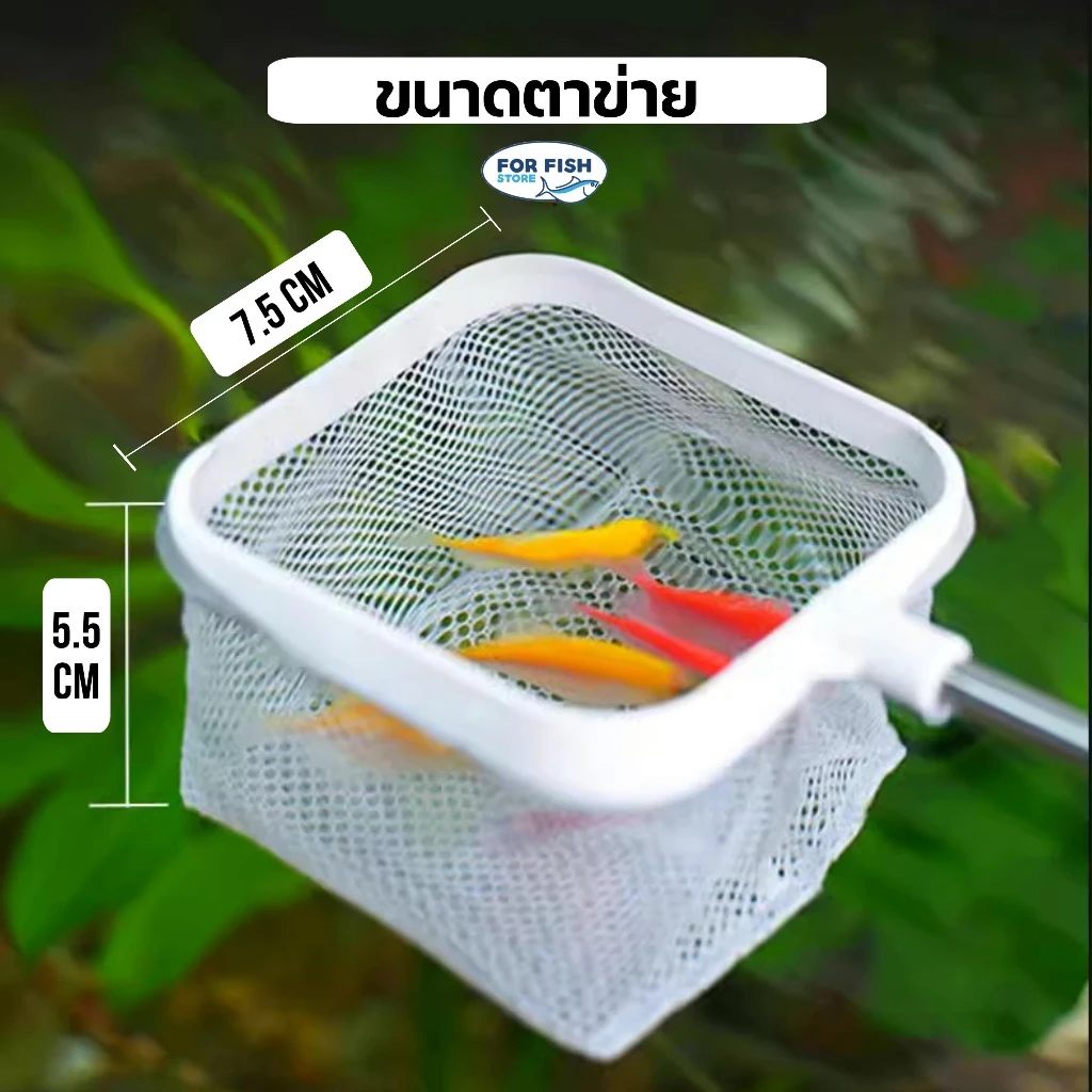 กระชอนตักปลา ยืดพับได้ 24-57 ซม. 2in1 แยกปลาได้ thumbnail 7