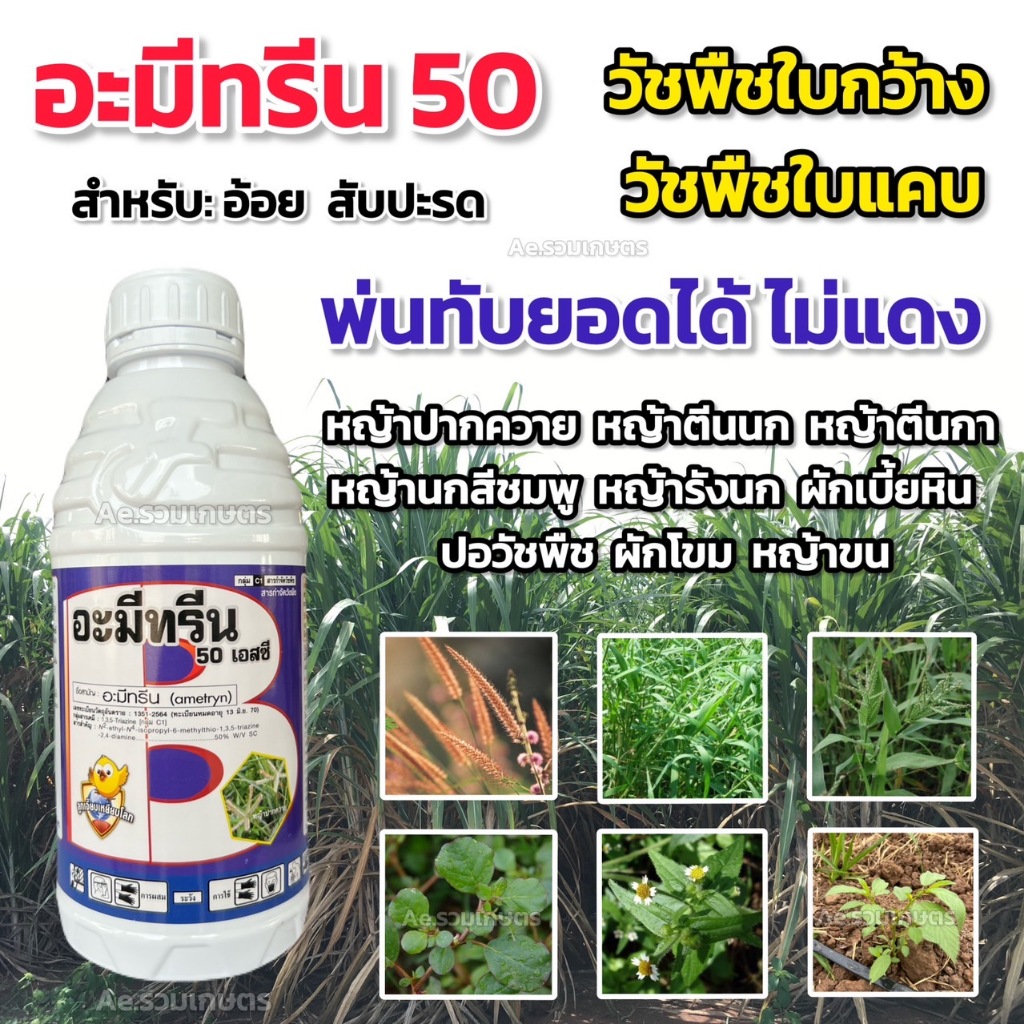 อะมีทรีน อามีทรีน อามีทรีน50 เอสซี สารกำจัดวัชพืช กำจัดหญ้า ใบแคบและใบกว้าง ขนาด1ลิตร ตราลูกเจี้ยบเหยียบโลก