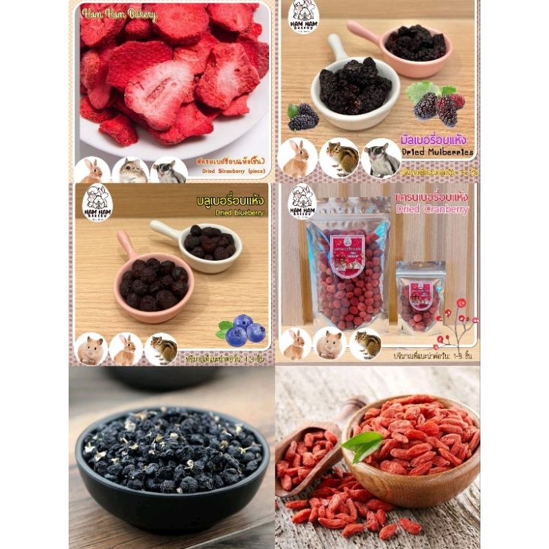 Hamu ♥️ Dried berry สตอเบอรี่อบ แครนเบอรี่อบ บลูเบอรี่อบ มัลเบอรี่อบ โกจิเบอรี่อบ สำหรับแฮมสเตอร์ กระต่าย ชูก้า