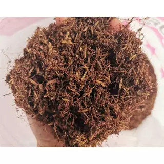 คุ้ม!! ดินปลูกกุหลาบ ดินอร่อยห้าดาว กุหลาบ ไม้ดอก ผักสวนครัว สั่งออเดอร์ละ 1 กระสอบ​ ไม่ส่งหมู่เกาะ ห่างไกล ท่องเที่ยว