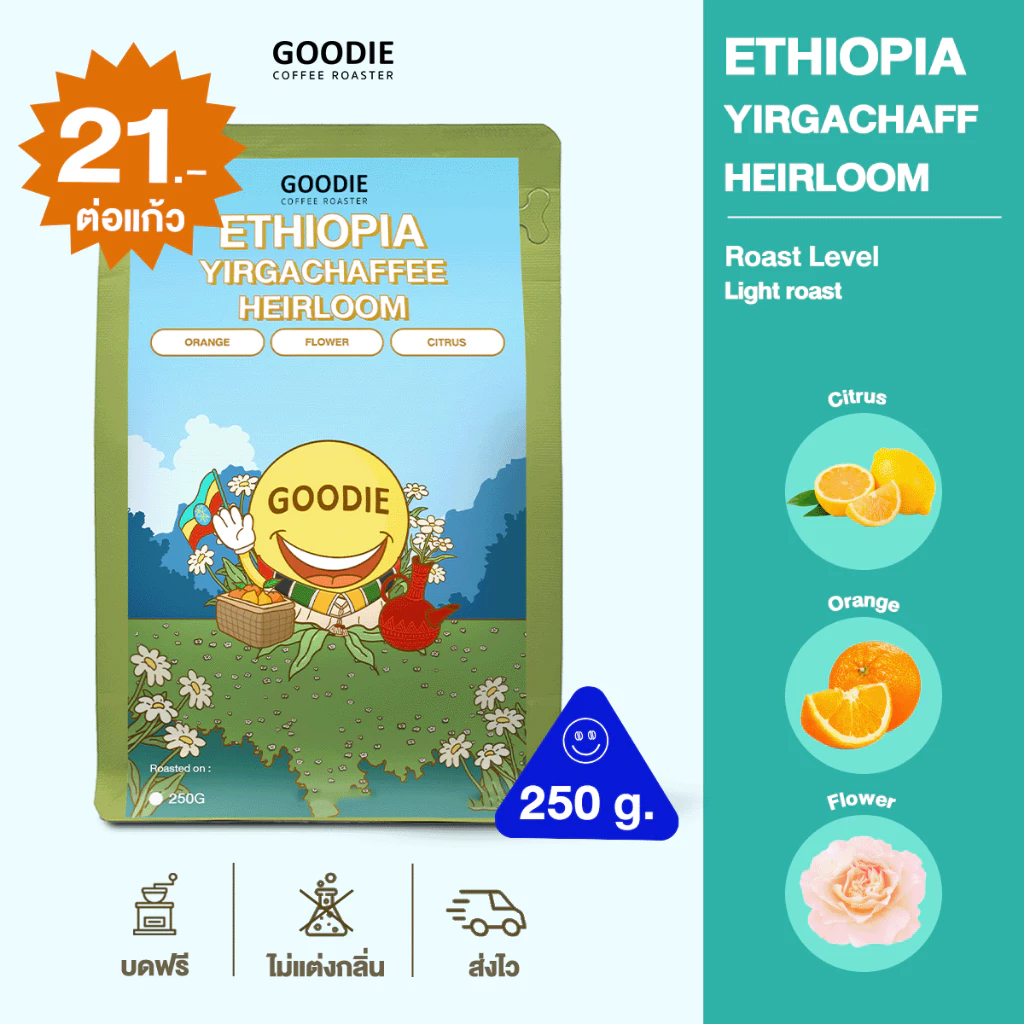 Goodie Coffee Roaster เมล็ดกาแฟ Ethiopia Yirgachaffee Heirloom
