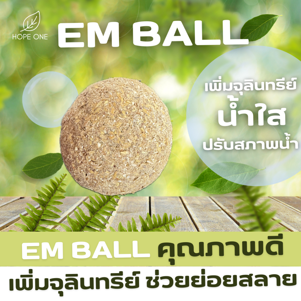 EM BALL อีเอ็มบอล ลูกใหญ่ เพิ่มจุลินทรีย์ในน้ำ น้ำใส ย่อยไขมัน ย่อยสลาย ย่อยตะกอน