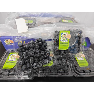 พร้อมส่ง‼️125g บลูเบอร์รี่สด นำเข้า Blueberry (เน้นส่งล็อตใหม่)