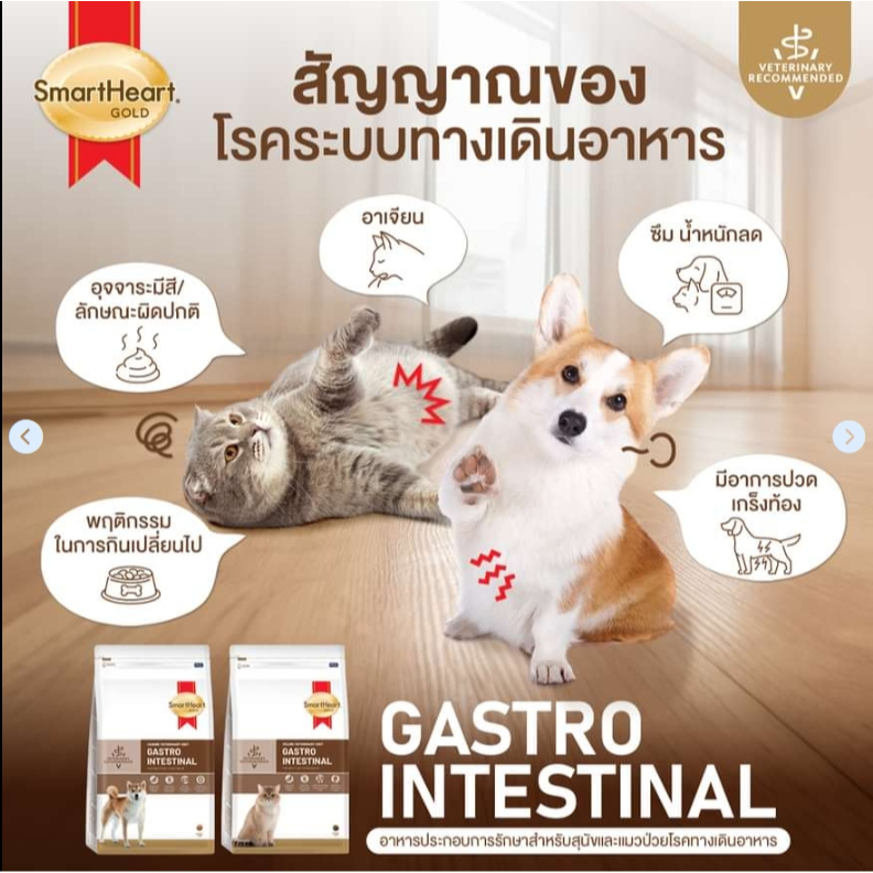 (Exp.22/08/25)Smartheart Gold Gastrointestinal 400 กรัม อาหารสำหรับแมวท้องเสียปรับสมดุลลำไส้