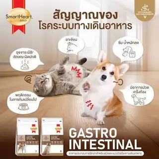 Smartheart gold gastrointestinal ขนาด1.5 และ 3 kg อาหารสำหรับสุนัขท้องเสีย ปรับสมดุลลำไส้