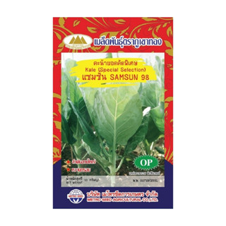 เมล็ดคะน้ายอดแซมซั่น98 Kale เมล็ดคะน้ายอด เมล็ดพันธุ์ผัก เมล…