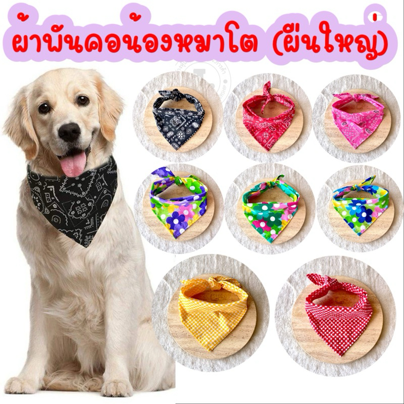 (A1)(ขนาด 43x65x43)ผ้าพันคอน้องหมาขนาดใหญ่ ผ้าพันคอแบบผูก สำหรับน้องหมาตัวโต
