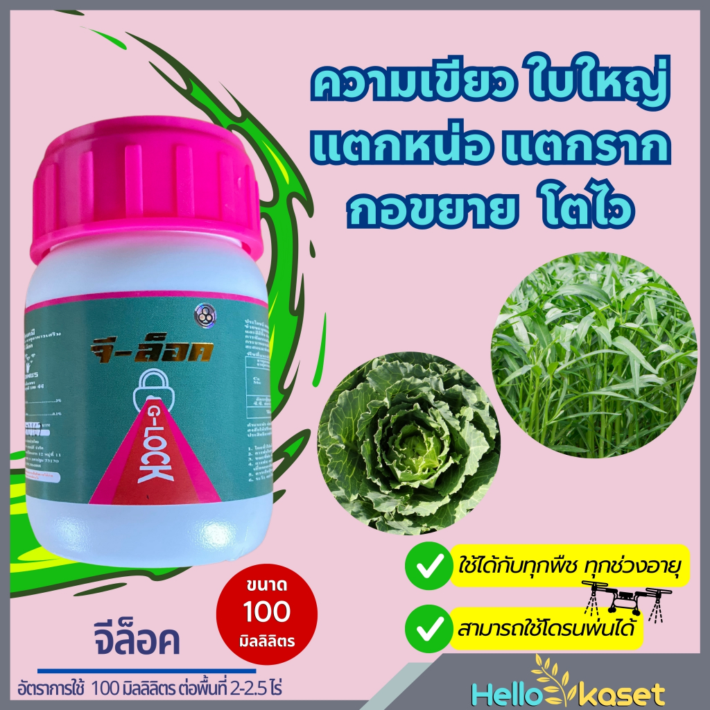 จีล็อค เร่งเขียว เร่งแตกยอด เร่งต้นโตไว ขนาด 100 ซีซี ทำให้พืชเขียวเข้ม เกษตรกรแปลงใหญ่แนะนำใช้