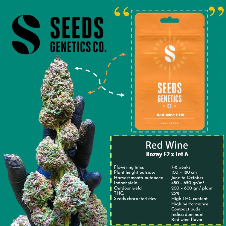 เมล็ด Red Wine - Seeds Genetics