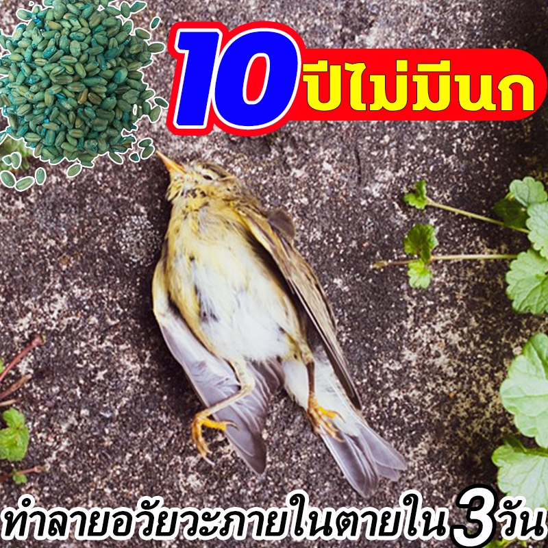 LHยาเบื่อนก150g ซื้อ1ได้2กำจัดนก บอกลาขี้นกที่สกปรก ปกป้องธัญญาหารและผลไม้ ไล่นก เหยื่อกำจัดนกพิราบ