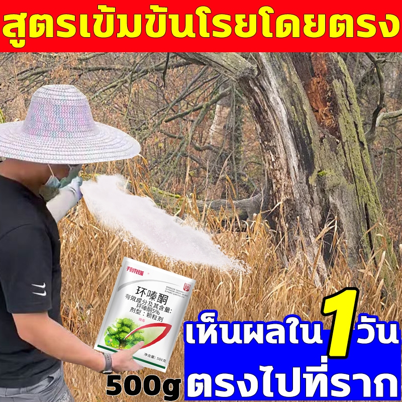 1วันเน่าถึงราก มีผลใน 3 วัน Bsxยากำจัดต้นไม้ 500gสูตรเข้มข้น ไม่ต้องผสมน้ำ สารกำจัดก่อไผ่ ยาฆ่ากอไผ่ ผงกำจัดวัชพืช