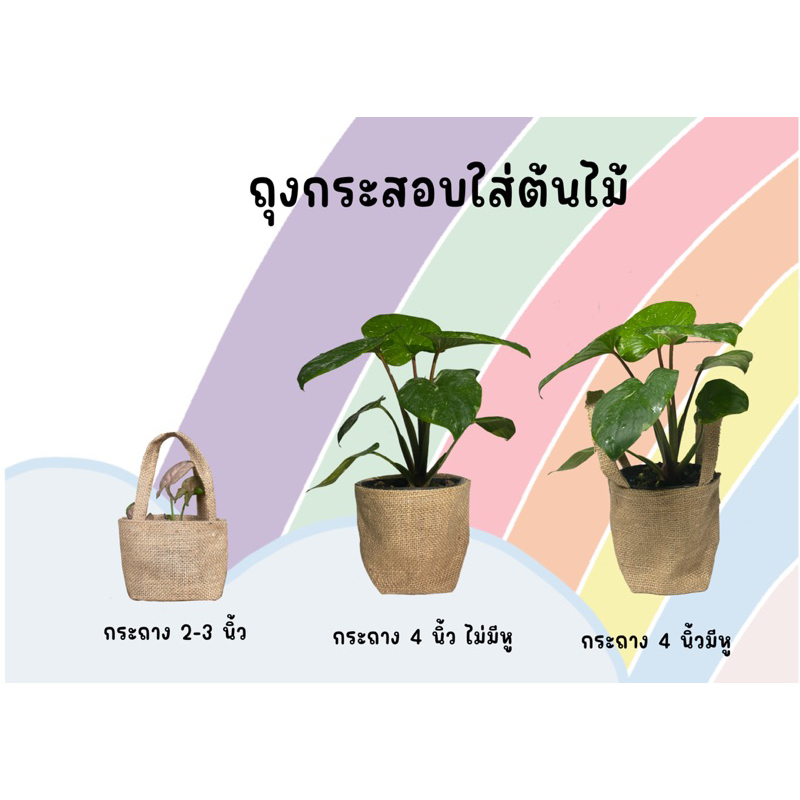 ถุงกระสอบใส่ดระถางต้นไม้ 2 นิ้ว 3 นิ้ว 4 นิ้ว