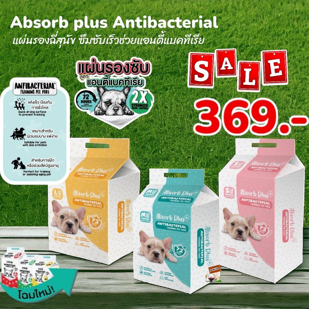 แพ็คเกจใหม่ Absorb Plus แผ่นลองฉี่​ สูตร Antibacterial​ แผ่นรองฉี่สุนัข ซึมซับเร็ว