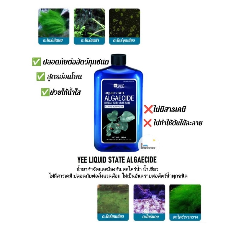 YEE : LIQUID STATE ALGAECIDE กำจัดและป้องกันตะไคร่น้ำ ยับยั้งและควบคุมตะไคร่ตู้ปลา และตู้ไม้น้ำ