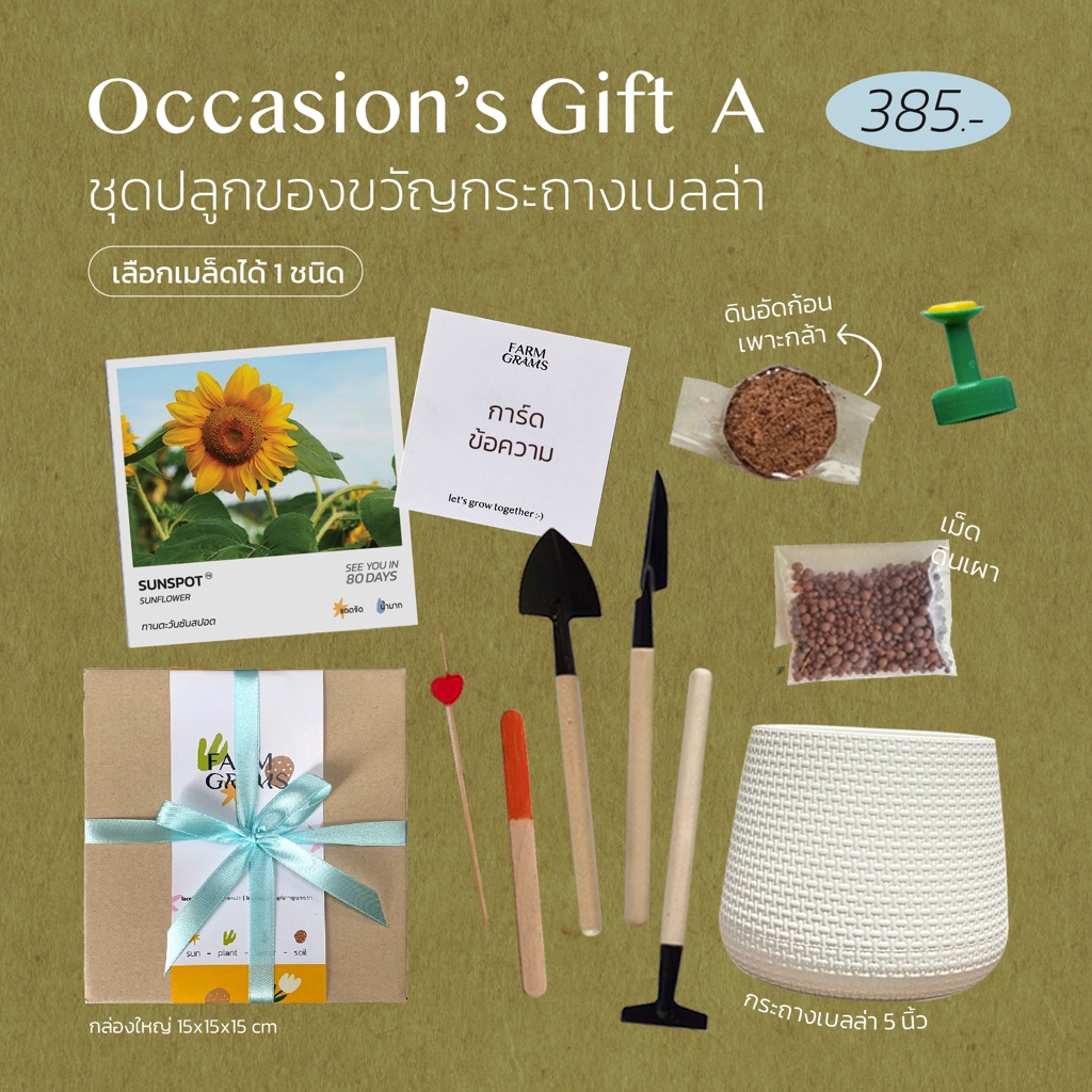 ชุดปลูกดอกไม้ Occasions's Gift A : ของขวัญโอกาสพิเศษ พร้อมผ้าห่อFuroshiki