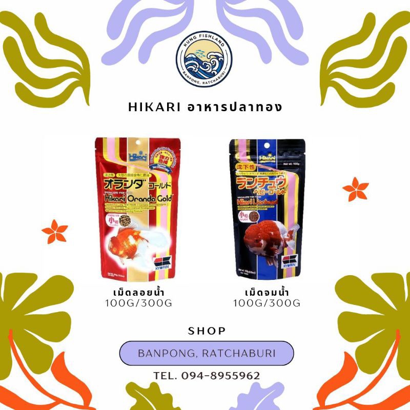 Hikari Lionhead & Oranda Gold ฮิคาริ อาหารเม็ดสำหรับปลาทอง ชนิดเม็ดจมและชนิดเม็ดลอย