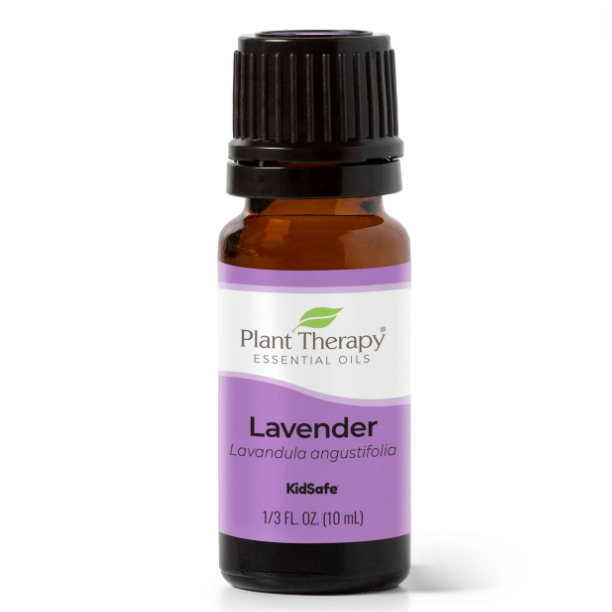 Plant Therapy  กลิ่น Lavender Essential Oil