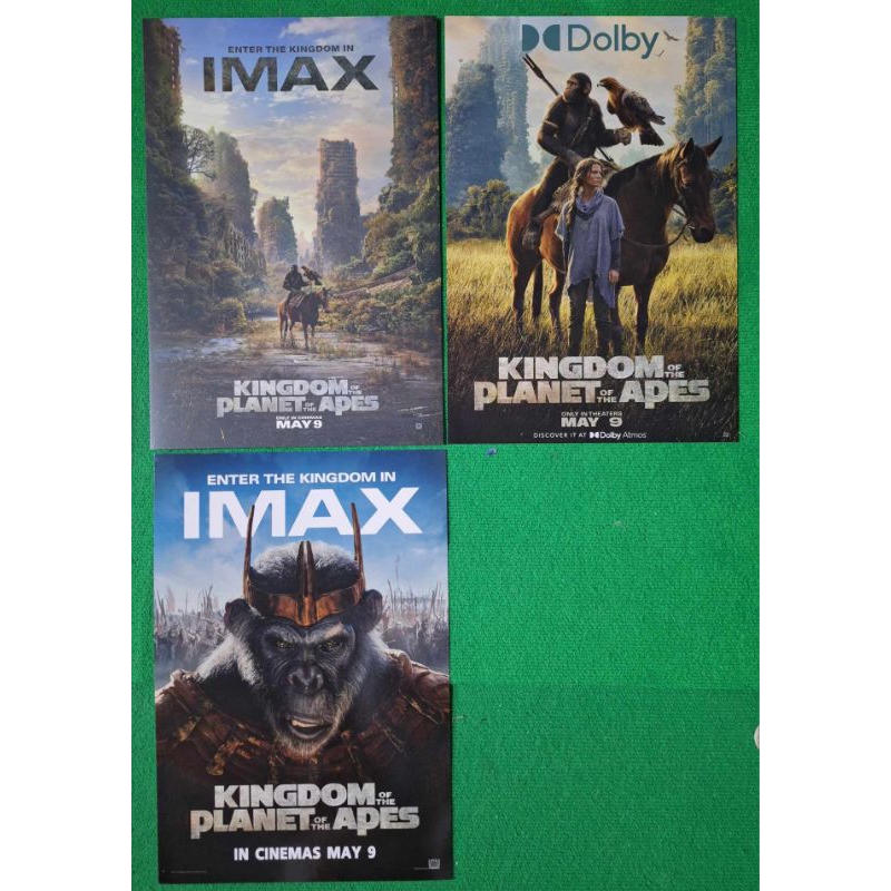 โปสเตอร์ IMAX Poster Kingdom of the Planet of the Apes อาณาจักรแห่งพิภพวานร ลิขสิทธิ์แท้จาก Major - SF พิภพวานร 2024