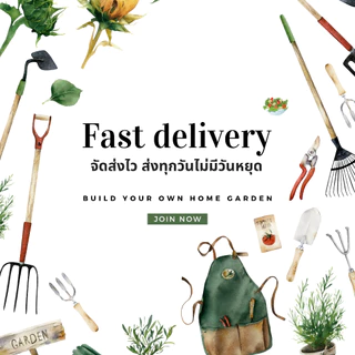 เมล็ดผักมะเขือเปราะ เมล็ดผักสวนครัว เมล็ดผัก5บาท
