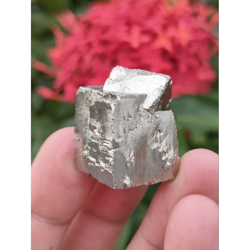 ✨ เเร่ไพไรต์ จากเปรู ทรงลูกบาศ์ก สี่เหลี่ยม สีทองอร่าม / ขนาด 42 กรัม 
( Pyrite Cube from Peru ) 42 