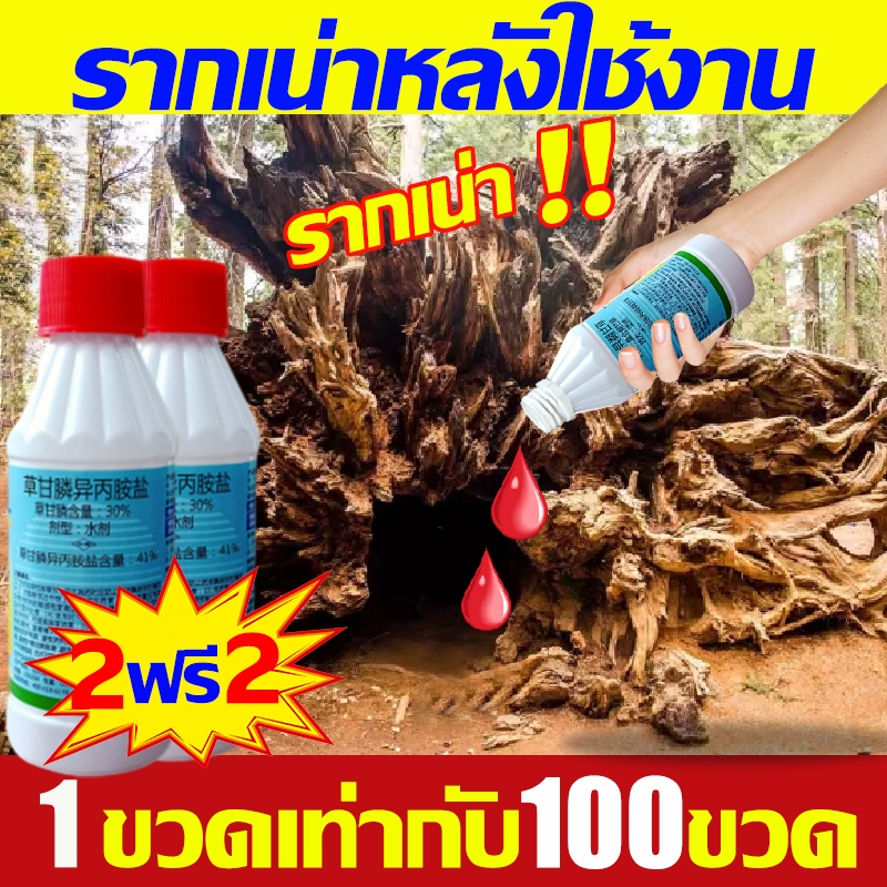 1 ขวดเท่ากับ100ขวด ยาฆ่าต้นไม้ใหญ่ เข้มข้นสุด 200ml หยดเดียวรากเน่า สารกําจัดกอไผ่ รากเน่ารากไม่ขึ้นอีก ยาฆ่าตอไม้