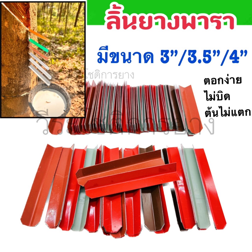 ลิ้นยางพารา เกรดA 3"/3.5”/4” ช้อนรองน้ำยาง ได้ประมาณ 150-200 ชิ้น อย่างดี รับประกันของแท้