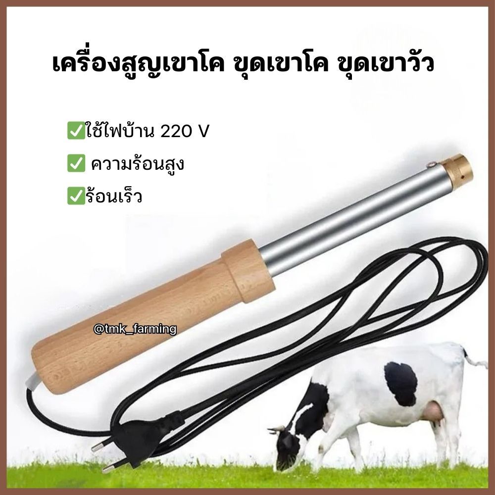 เครื่องสูญเขาโค คีมขุดเขาวัวไฟฟ้า ความร้อนสูง ด้ามจับไม้ หัวทองเหลือง  220 โวลต์