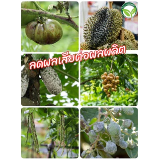 ไตรโคเดอร์มา อัดเม็ด10 กก. 4in1 ในกระสอบเดียว