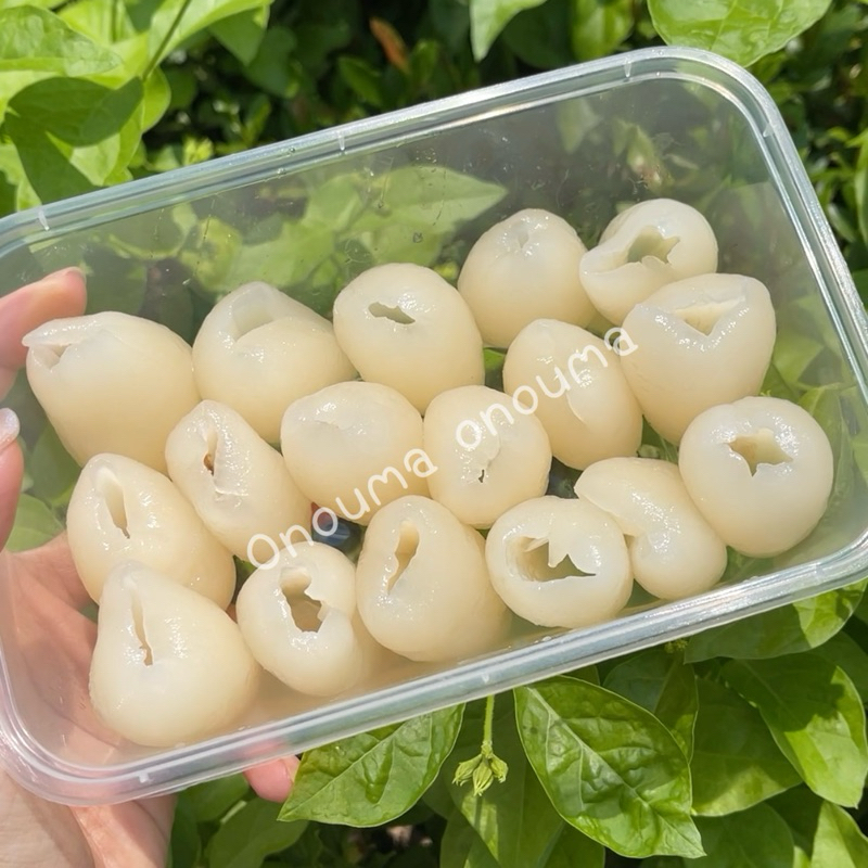 มีดคว้านเงาะ ที่คว้านเงาะ มะยงชิด แบบเรียวพิเศษ💥 - รูปที่ 3