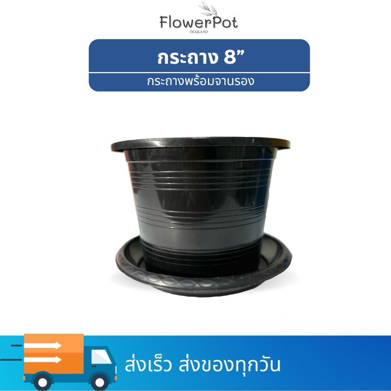กระถางพร้อมจานรอง ไซส์ 8, 10, 12 นิ้ว สีดำ สีขาว กระถางพลาสติก