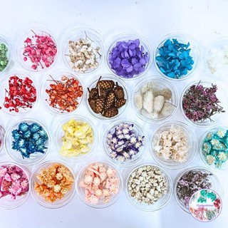ดอกไม้แห้ง สำหรับงานDIY ดอกไม้แห้งมีหลายชนิดพร้อมส่งไม่มีขั้…