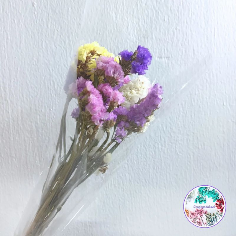 ดอกไม้แห้ง สเตติสกำละ35บาทเท่านั้น ดอกไม้แห้งพร้อมส่ง – โปรปัง