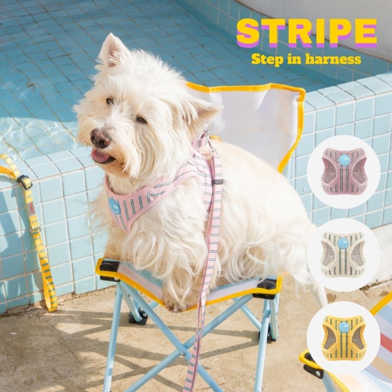 New in! Stripe Daisy Harness - ใหม่ เสื้อรัดอก สายรัดอกสุนัข และ แมว นุ่มไม่บาดผิว มีระบบระบายอากาศ ใช้งานดีเยี่ยม