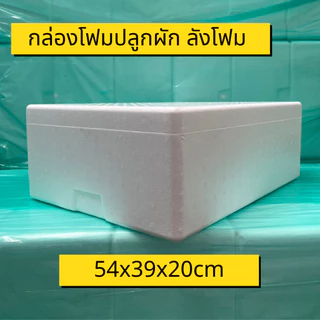 กล่องโฟมปลูกผัก กล่องโฟม ลังโฟม ปลูกผักไฮโดร กล่องใส่กุ้ง กล่องลังโฟม กล่องกุ้ง 10KG. ไฮโดรโปนิกซ์