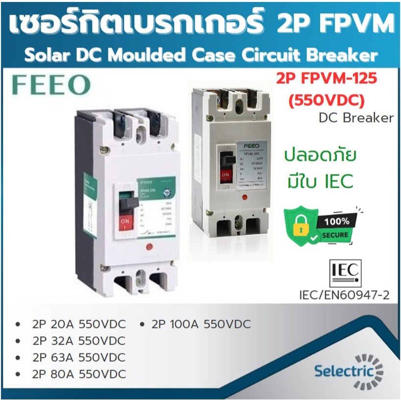 FEEO FPVM-125 2P MCCB 20A 32A 63A 80A 100A 550VDC Solar DC Molded Case Circuit Breaker เซอร์กิตเบรกเกอร์