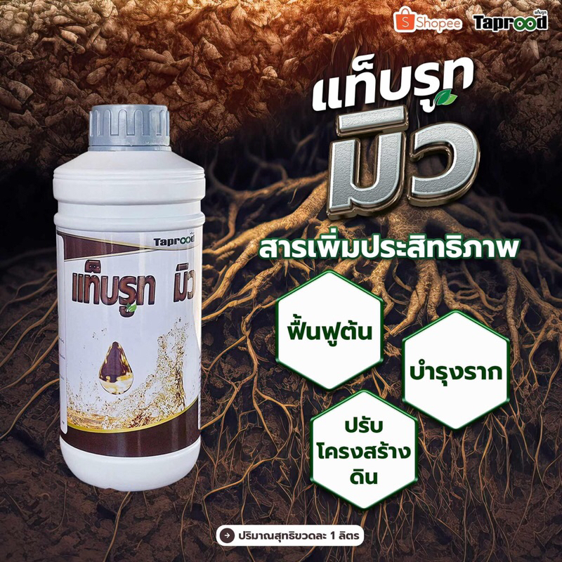 แท็บรูทมิว ฮิวมิคน้ำ