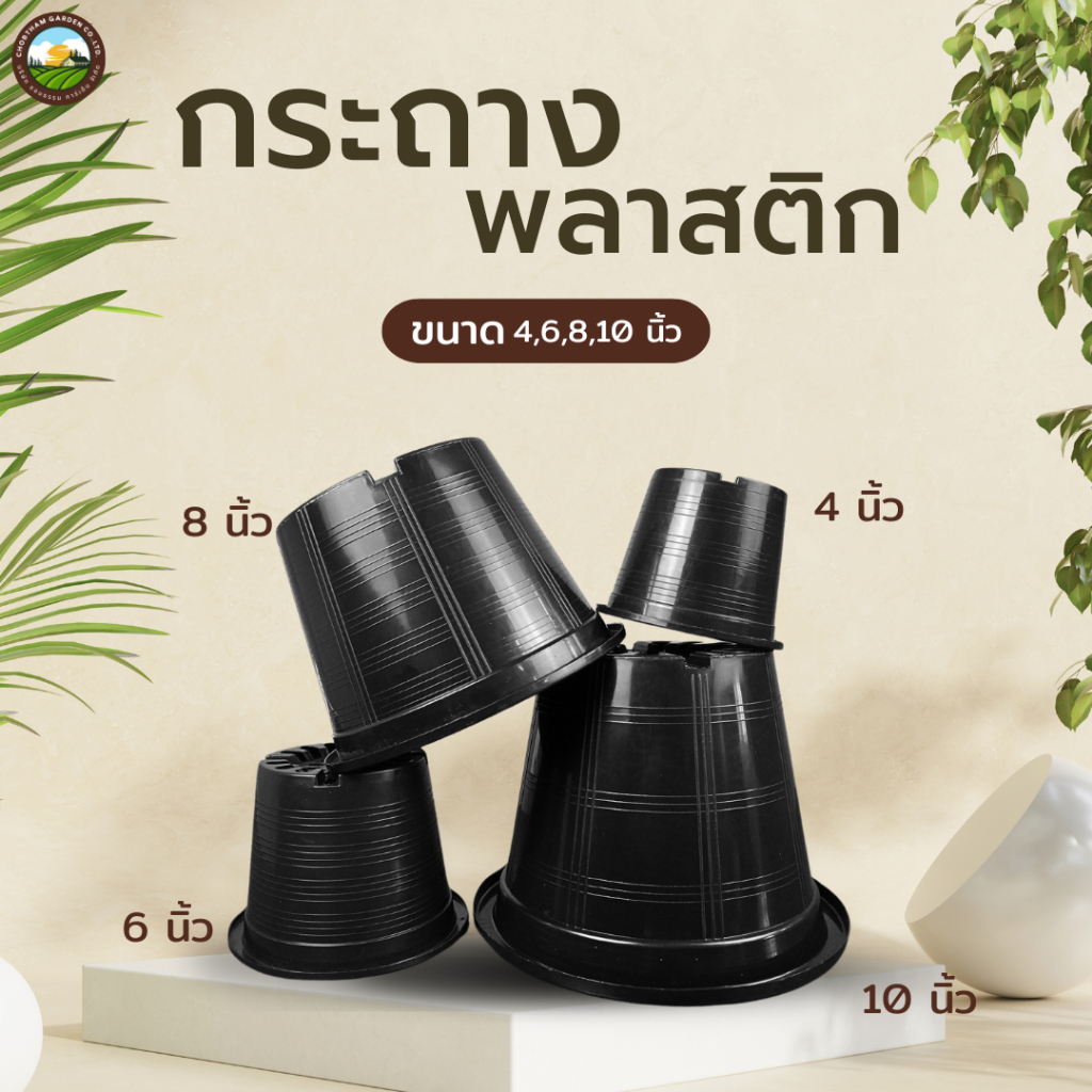 กระถางต้นไม้พลาสติก กระถางกระบองเพชร กระถางแคคตัส 4นิ้ว 6 นิ้ว 8 นิ้ว 10 นิ้ว