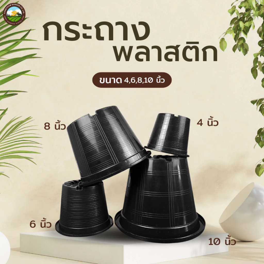 กระถางต้นไม้พลาสติก กระถางกระบองเพชร กระถางแคคตัส 4นิ้ว 6 นิ้ว 8 นิ้ว 10 นิ้ว