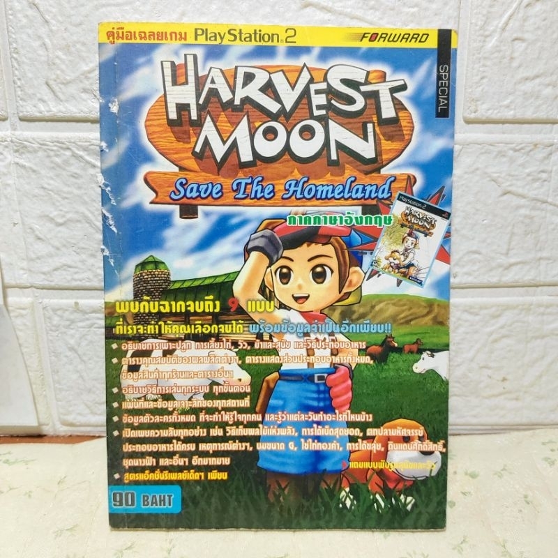 บทสรุปเกม Harvest Moon save the homeland