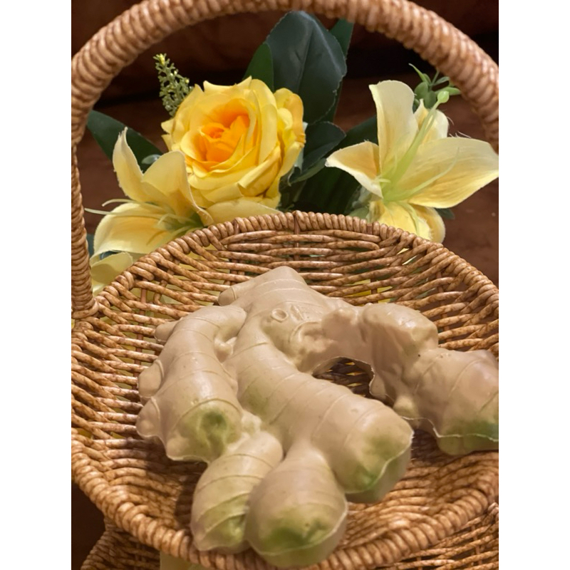 ผักปลอม โมเดลผักผลไม้ ขิงปลอม โมเดลขิง - รูปที่ 2