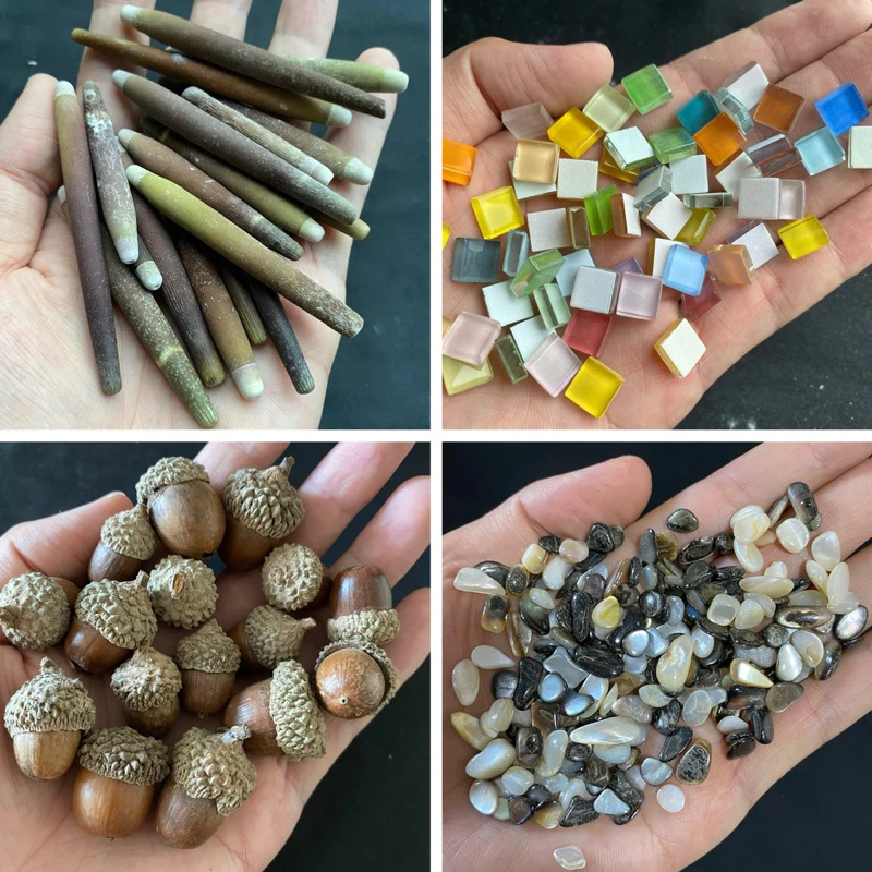 หอยธรรมชาติ DIY วัสดุสำหรับตกแต่งสวนและตู้ปลา 50g BEAUTIFUL SEASHELLS thumbnail 4