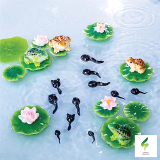 แม่กบ ลูกกบ ลูกอ๊อด น่ารัก Micro-landscape Creative สำหรับตกแต่งสวนถาด ตกแต่งบ้าน อื่นๆ