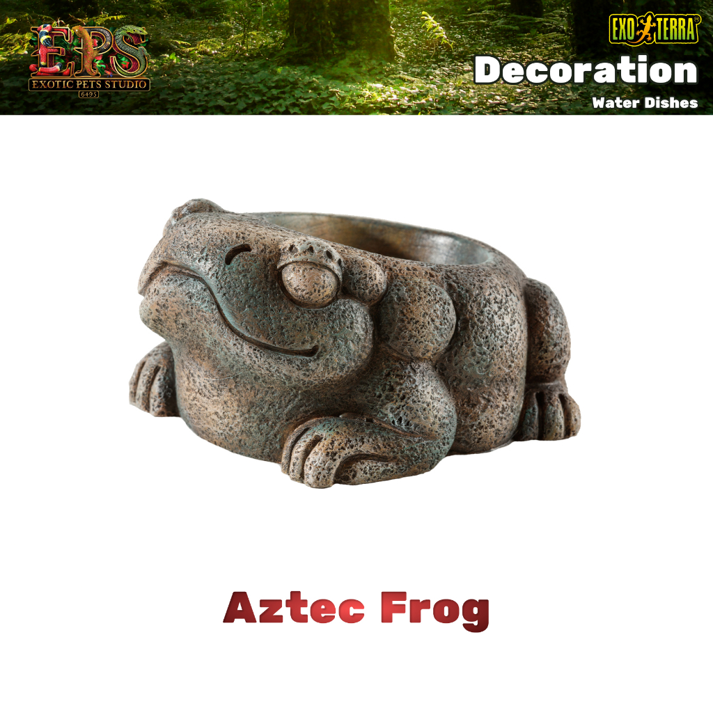 Exo Terra Aztec Frog จานใส่น้ำรูปแบบกบแอซเท็ก