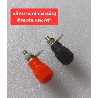 แจ็คบานาน่าติดแท่น (ตัวเมีย) แดง/ดำ