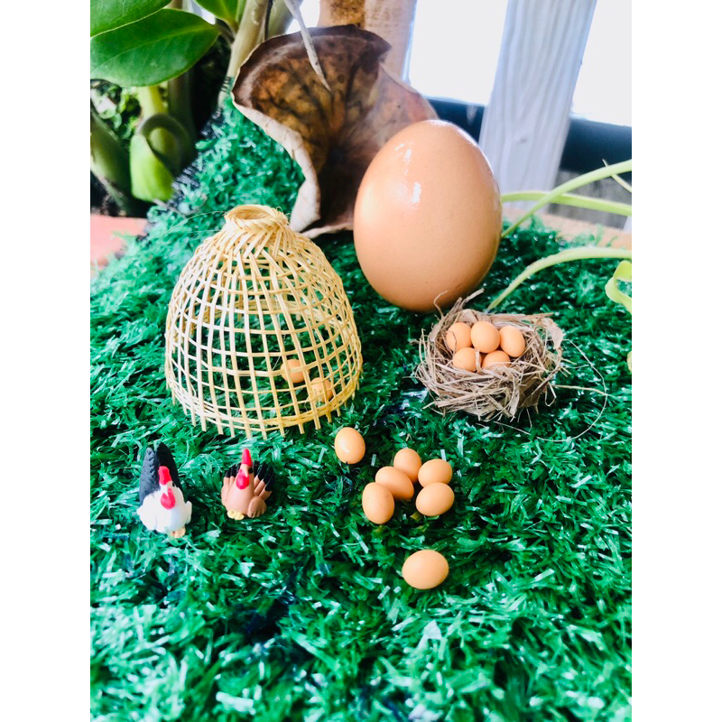 ไข่จิ๋ว ทรงสวยๆสีเหมือนจริง ไข่ไก่ ไข่เป็ด (ขนาด 0.8-1.0) ไข่ดินปั้น #ของจิ๋ว #ของตกแต่ง