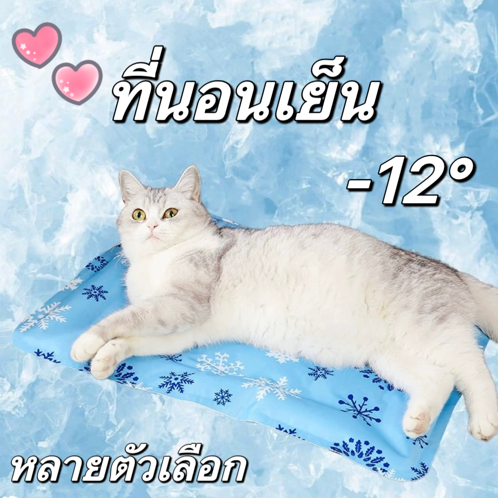 เบาะเย็นแมว ที่นอนเย็น สัตว์เลี้ยง แผ่นเย็นหมา ที่นอนแมว ที่นอนหมา แผ่นเจลเย็นสุนัข cutie world