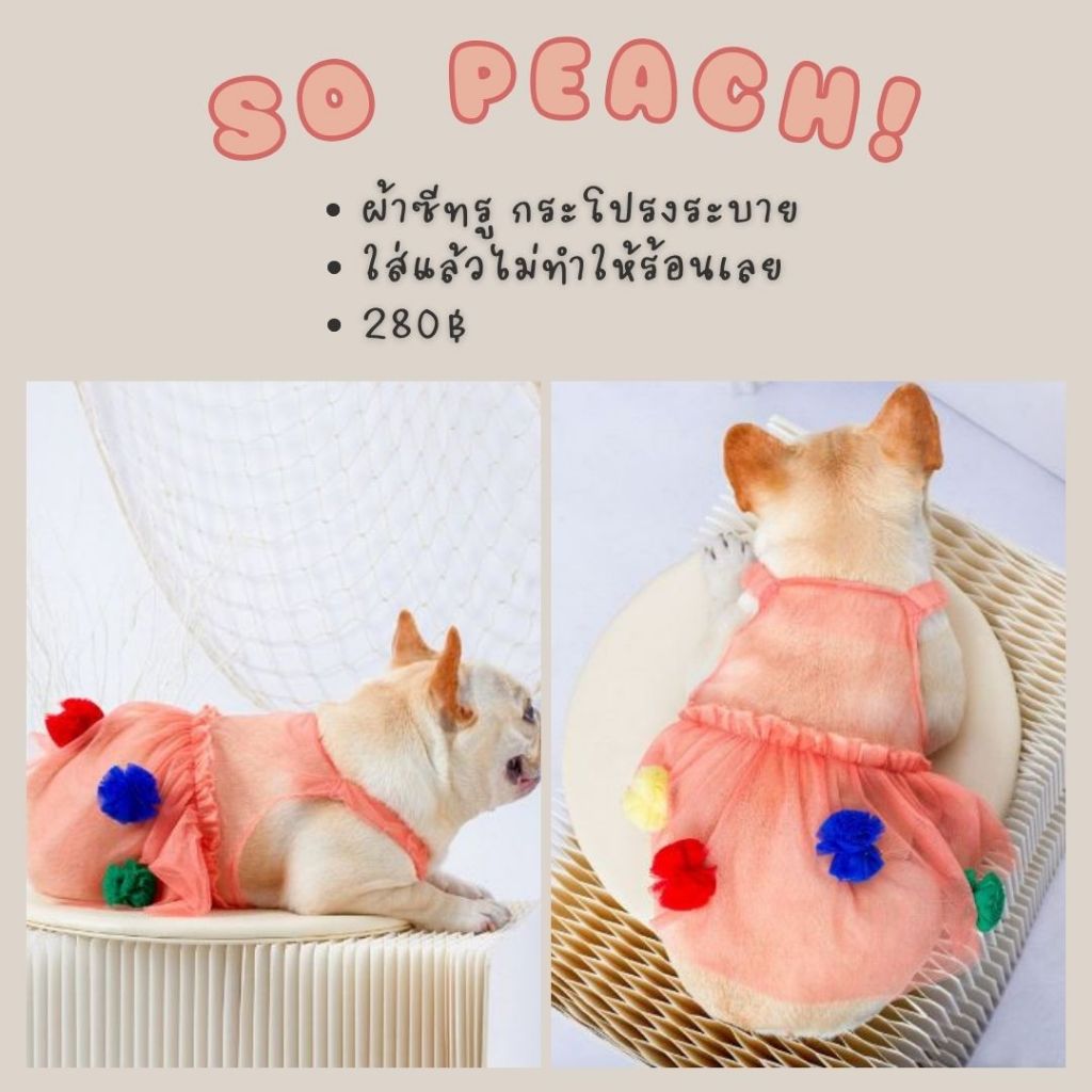 𝙎𝙊 𝙋𝙀𝘼𝘾𝙃! ชุดเดรสซีทรู กระโปรงระบาย ใส่แล้วไม่ทำให้ร้อน