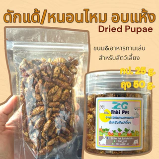 [ZC] หนอนไหม/ดักแด้ อบแห้ง Dried Pupae ขนม&อาหารทานเล่นสำหรับสัตว์เลี้ยง