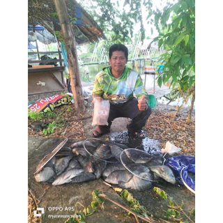 เหยื่อตกปลา ชิงหลิว สปิ๋ว ไฮเกรดNE ชุดโปรมือใหม่ แถมหัวเชื้อครบชุด