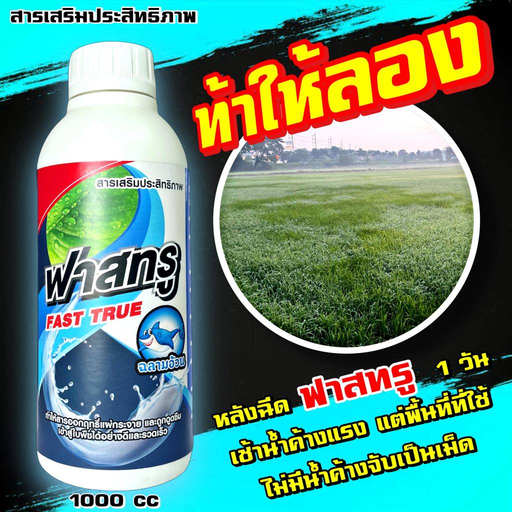 ฟาสทรู สารจับใบ สารจับใบคุณภาพสูง ช่วยให้สารป้องกันกําจัดศัตรูพืชยึดติดใบพืช ขนาด 1 ลิตร